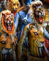 Explore Kerala - with Onam Pulikkali Tiger Play