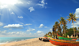 goa honeymoon package