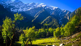 Himachal Honeymoon Packages