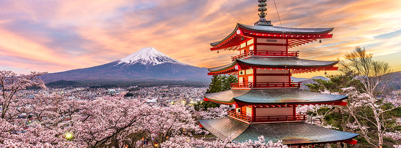 japan tour packages thomas cook