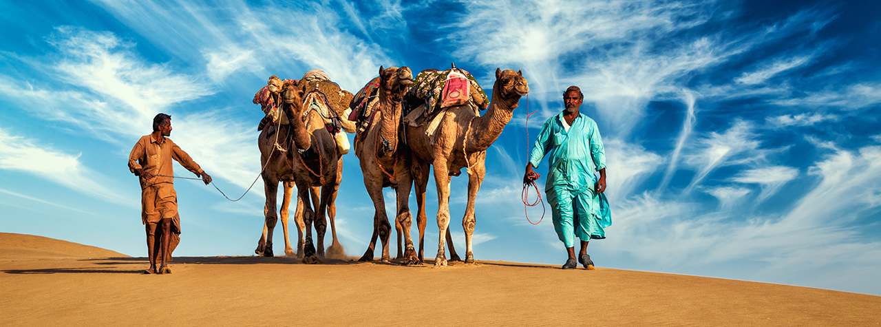 rajasthan tour packages thomas cook